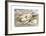 Flight of the Magnolia-Paul Nash-Framed Premium Giclee Print