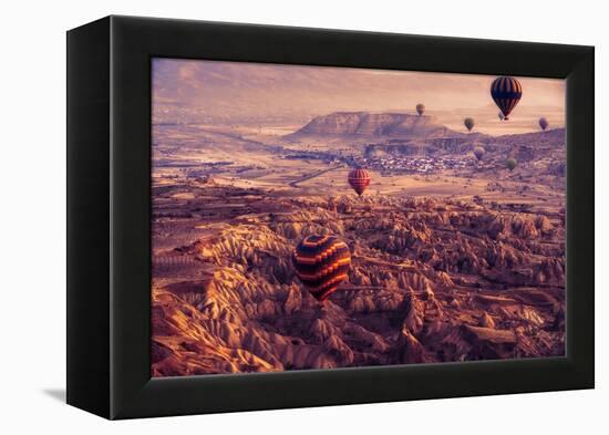 flight path-mihai ian nedelcu-Framed Premier Image Canvas