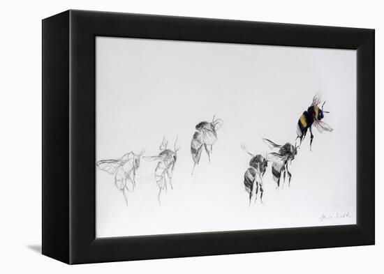 Flight pattern, 2014-Odile Kidd-Framed Premier Image Canvas