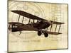 Flight Plans I-Michael Marcon-Mounted Art Print