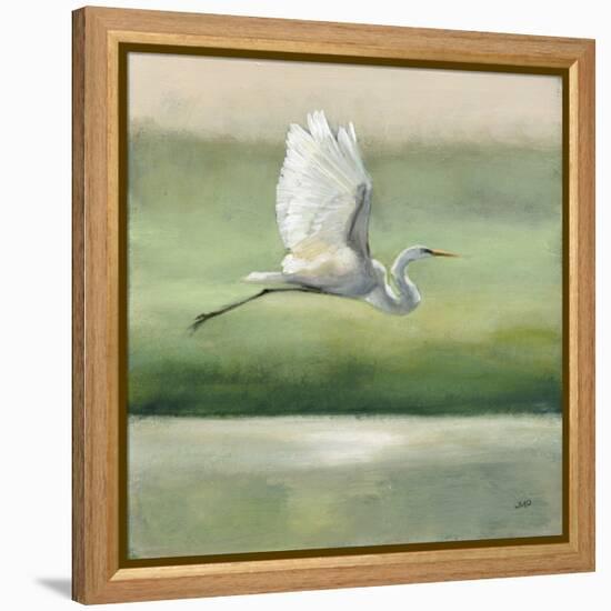 Flight-Julia Purinton-Framed Stretched Canvas