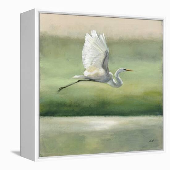 Flight-Julia Purinton-Framed Stretched Canvas