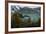 Flightless Cormorant Underwater Galapagos Islands, Ecuador-Pete Oxford-Framed Photographic Print