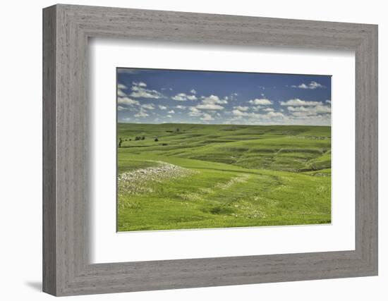 Flint Hills of Kansas-Michael Scheufler-Framed Photographic Print