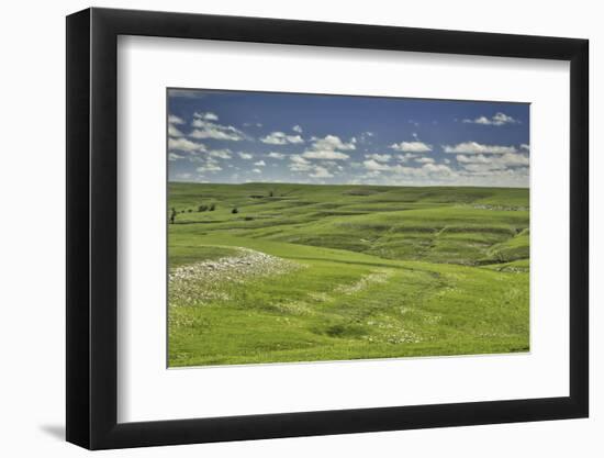 Flint Hills of Kansas-Michael Scheufler-Framed Photographic Print