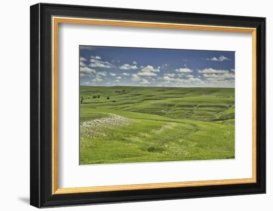 Flint Hills of Kansas-Michael Scheufler-Framed Photographic Print