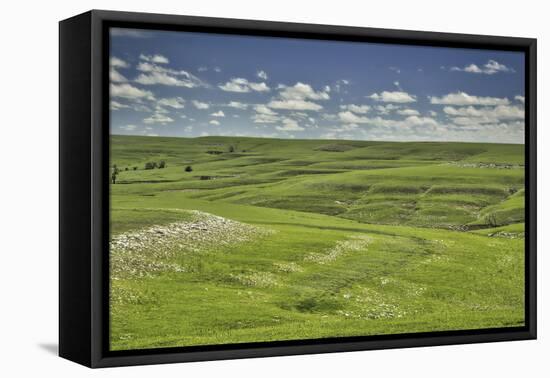 Flint Hills of Kansas-Michael Scheufler-Framed Premier Image Canvas