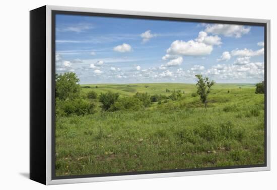 Flint Hills of Kansas-Michael Scheufler-Framed Premier Image Canvas