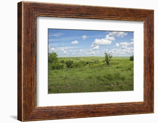 Flint Hills of Kansas-Michael Scheufler-Framed Photographic Print