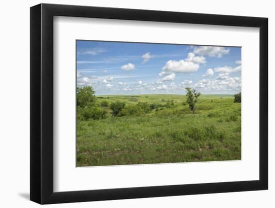 Flint Hills of Kansas-Michael Scheufler-Framed Photographic Print