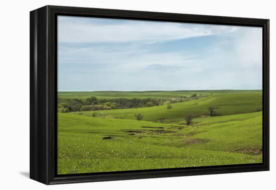 Flint Hills of Kansas-Michael Scheufler-Framed Premier Image Canvas