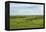 Flint Hills of Kansas-Michael Scheufler-Framed Premier Image Canvas