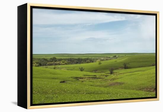 Flint Hills of Kansas-Michael Scheufler-Framed Premier Image Canvas