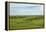 Flint Hills of Kansas-Michael Scheufler-Framed Premier Image Canvas