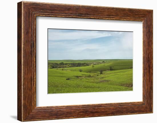 Flint Hills of Kansas-Michael Scheufler-Framed Photographic Print