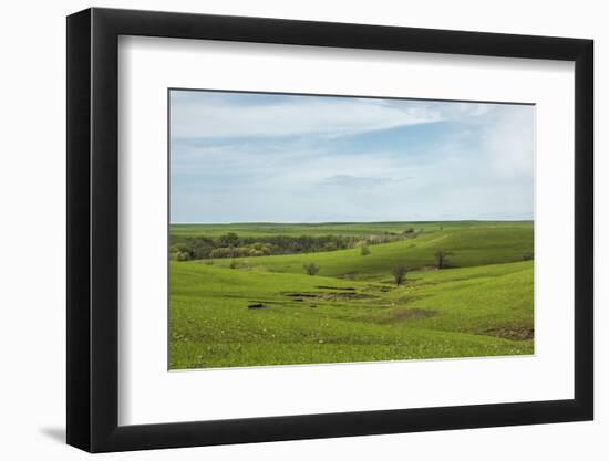 Flint Hills of Kansas-Michael Scheufler-Framed Photographic Print