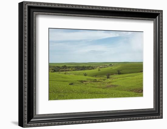 Flint Hills of Kansas-Michael Scheufler-Framed Photographic Print