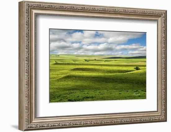 Flint Hills of Kansas-Michael Scheufler-Framed Photographic Print