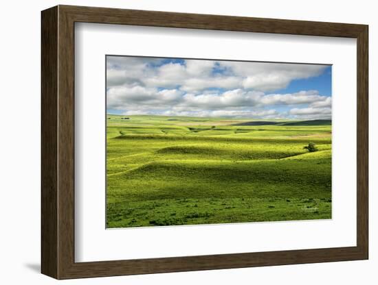 Flint Hills of Kansas-Michael Scheufler-Framed Photographic Print