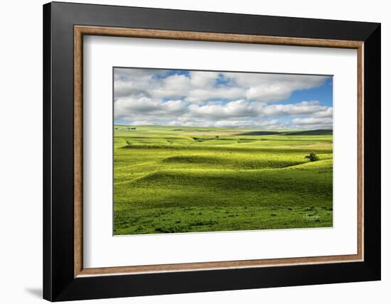 Flint Hills of Kansas-Michael Scheufler-Framed Photographic Print