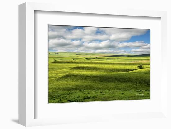 Flint Hills of Kansas-Michael Scheufler-Framed Photographic Print