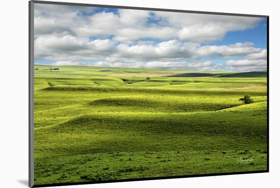 Flint Hills of Kansas-Michael Scheufler-Mounted Photographic Print