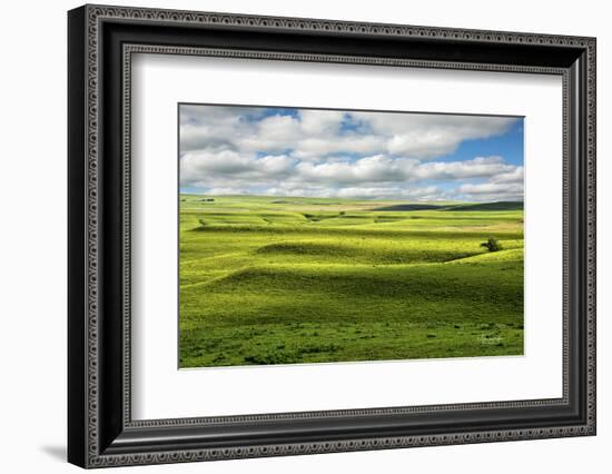 Flint Hills of Kansas-Michael Scheufler-Framed Photographic Print