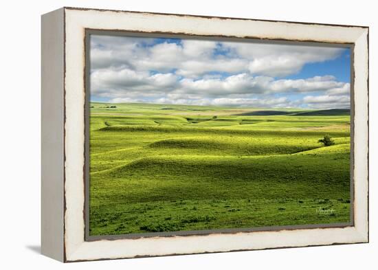 Flint Hills of Kansas-Michael Scheufler-Framed Premier Image Canvas