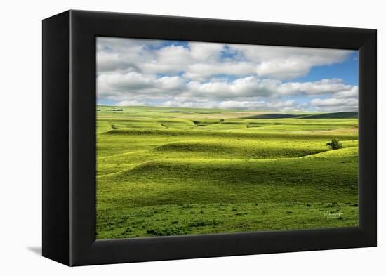 Flint Hills of Kansas-Michael Scheufler-Framed Premier Image Canvas