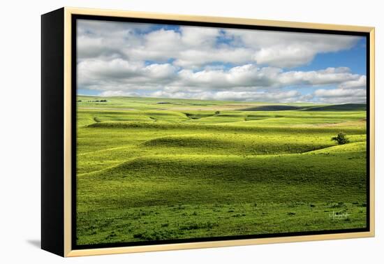 Flint Hills of Kansas-Michael Scheufler-Framed Premier Image Canvas