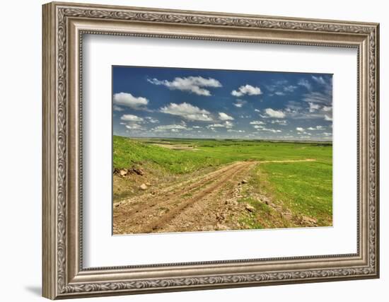 Flint Hills of Kansas-Michael Scheufler-Framed Photographic Print