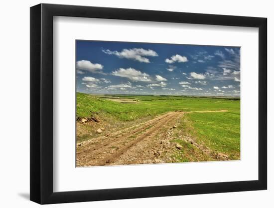 Flint Hills of Kansas-Michael Scheufler-Framed Photographic Print