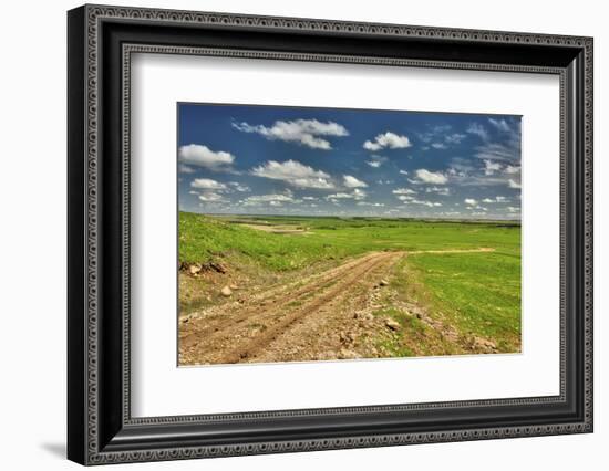 Flint Hills of Kansas-Michael Scheufler-Framed Photographic Print