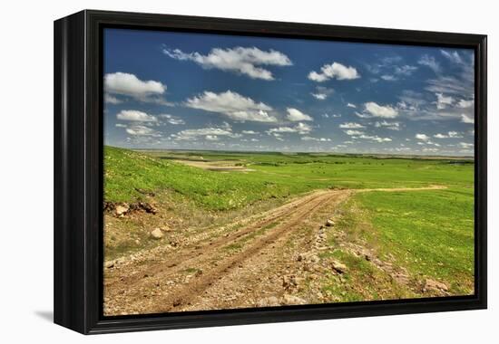 Flint Hills of Kansas-Michael Scheufler-Framed Premier Image Canvas