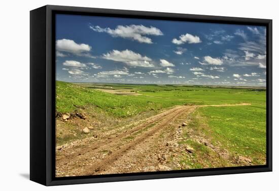 Flint Hills of Kansas-Michael Scheufler-Framed Premier Image Canvas