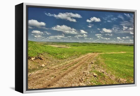 Flint Hills of Kansas-Michael Scheufler-Framed Premier Image Canvas