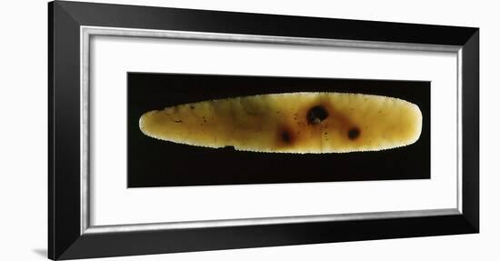 Flint tool, Ancient Egyptian, Predynastic period-Werner Forman-Framed Photographic Print