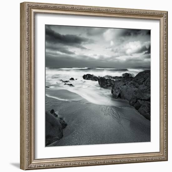 Flipbird-David Baker-Framed Photographic Print