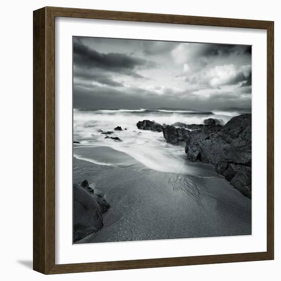 Flipbird-David Baker-Framed Photographic Print