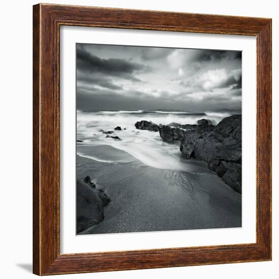 Flipbird-David Baker-Framed Photographic Print