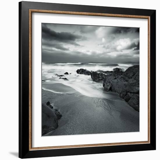 Flipbird-David Baker-Framed Photographic Print