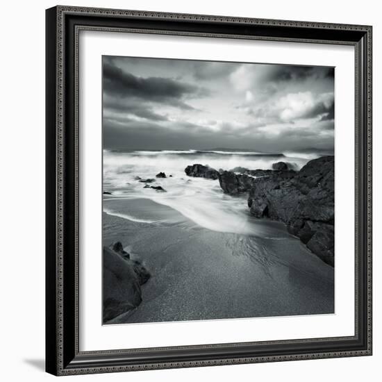 Flipbird-David Baker-Framed Photographic Print