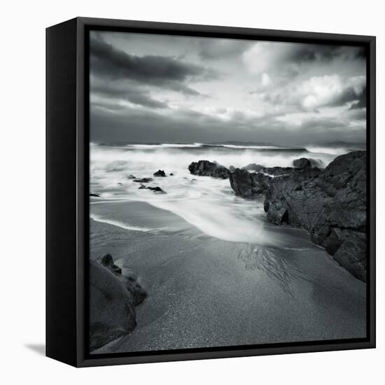 Flipbird-David Baker-Framed Premier Image Canvas