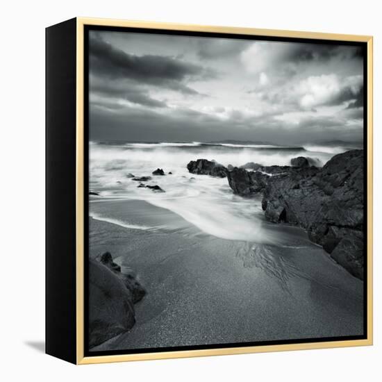 Flipbird-David Baker-Framed Premier Image Canvas