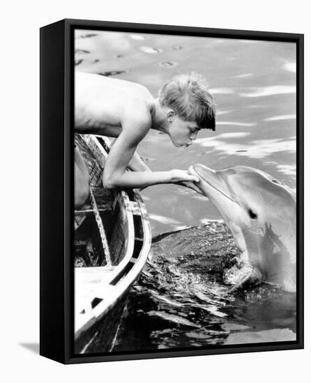 Flipper-null-Framed Stretched Canvas