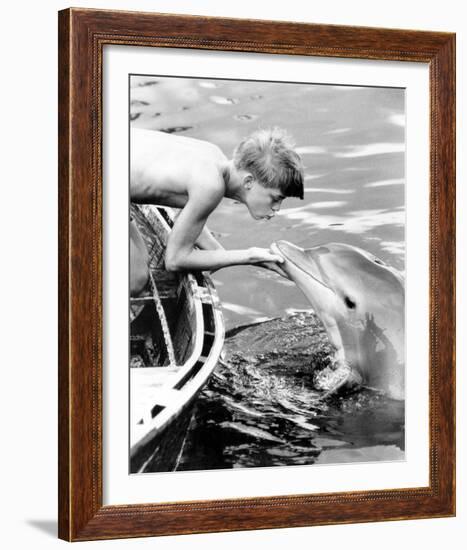 Flipper-null-Framed Photo