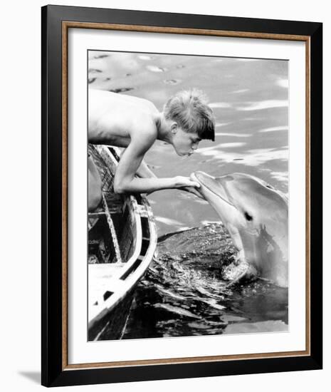 Flipper-null-Framed Photo