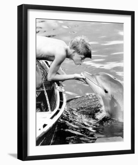 Flipper-null-Framed Photo