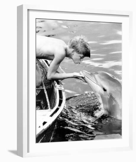 Flipper-null-Framed Photo