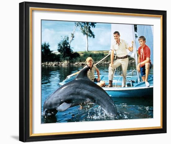 Flipper-null-Framed Photo